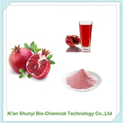 Pomegranate Juice Powder | Natural Organic Pomegranate Powder
