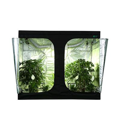 Green Fllm 100% Top Friendly PEVA Marijuana Led Growth Lights Indoor Hydroponics Grow Tent Ventilation Kit With 600D Fabric/steel/240x120x200cm
