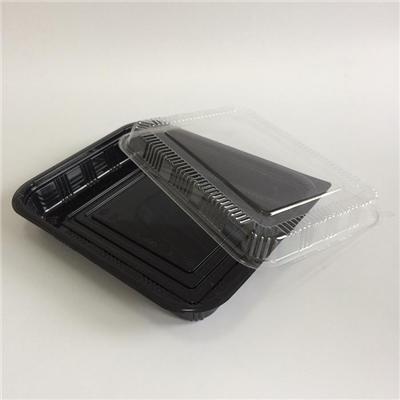 Clear Rectangular Plastic Food And Fruit Storage Packaging Containers Boxes