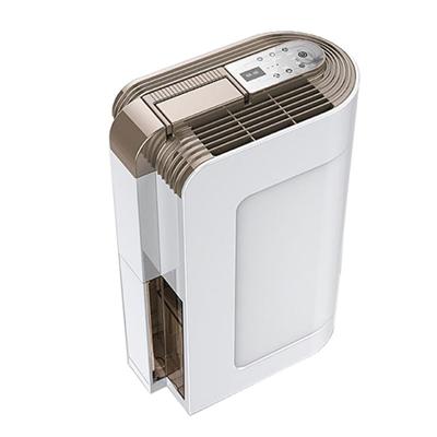 Top Rated Best Wall Dehumidifier With Humidistat