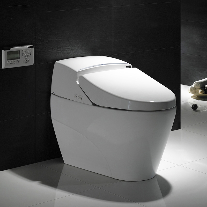 smart toilet with electronic bidet toilet seat KD-T010A
