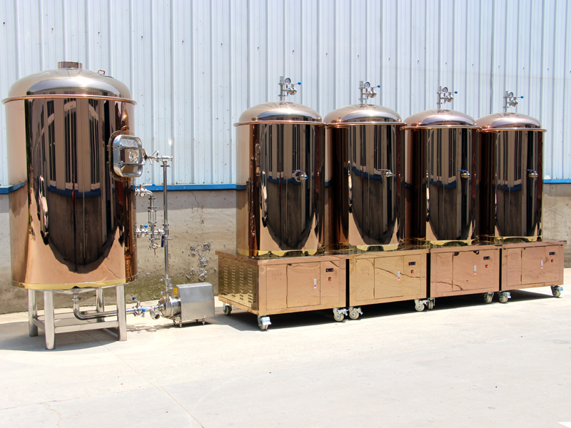 Professional SUS304 mini beer factory with CE certificate
