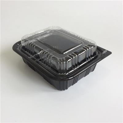 Transparent Eco-Friendly Disposable Plastic Take Away Bento Lunch Box
