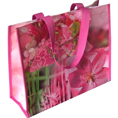 Made in China Washable and Reusable Customized Promotional PP Woven Laminated Tote Shopping Bag