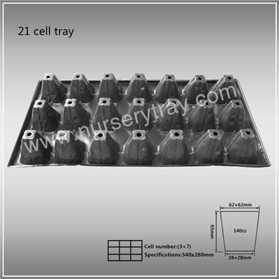 21 Cell Tray