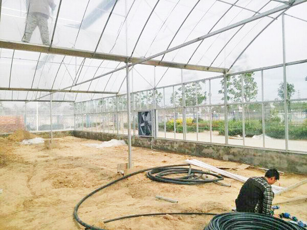 multi-span greenhouse engineering from chinese company 