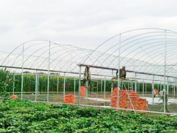 stronger greenhouse frame with stainless steel skeleton 