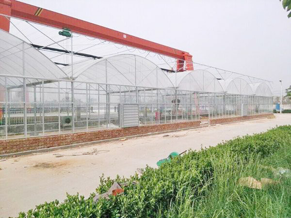 continuous arch greenhouse with low price