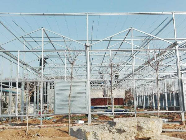 stronger skeleton and insect proof net plastic shading greenhouse
