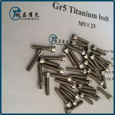 JIS B1176 Titanium Hex Socket Thin Bolts & Screws