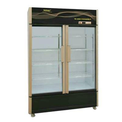 Side By Side Double Glass Door Upright Display Freezers For Drinks Or Beverage With Customized AD Lamp Boxes