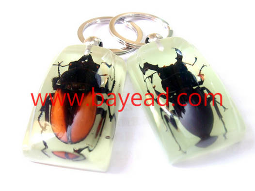 человек сделал Янтарь насекомое брелки,ключевое кольцо,так что классный подарок,подарок промотирования