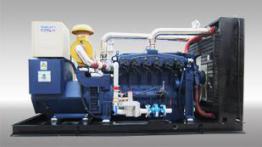 Gasification syngas powered gas generator set