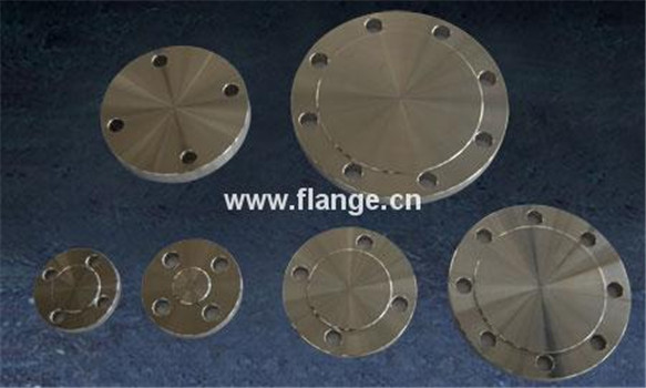 high quality ss304/SS316 forged stainless steel flange supplier