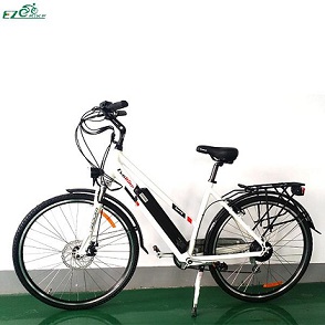  Electric Bike TDF04