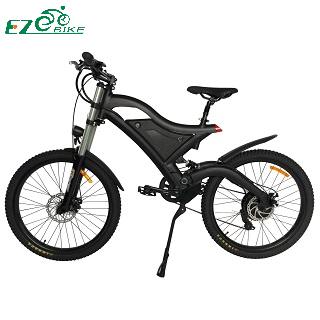Electric Bike  TDE15