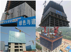Attached type electrical lifting /Self-climbing formwork/scaffold/frame/template system manufacturer/supplier