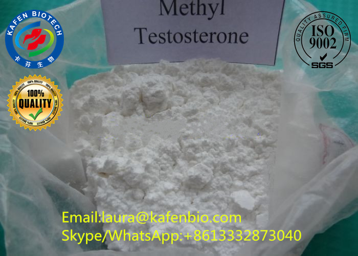 99% High Purity Testosterone Steroid Hormone Raw Methyltestosterone Powder CAS 58-18-4
