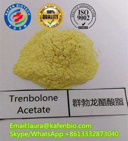 99% Purity Hot Sale Ananbolic Steroid Hormone Powder Trenbolone Acetate