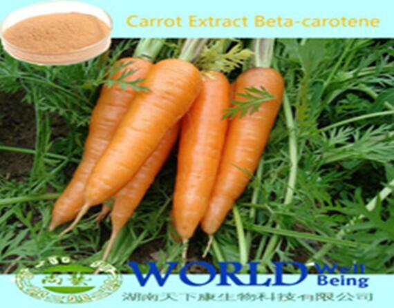 100% Natural Carrot Juice Concentrate Dried Carrot Powder Low Price
