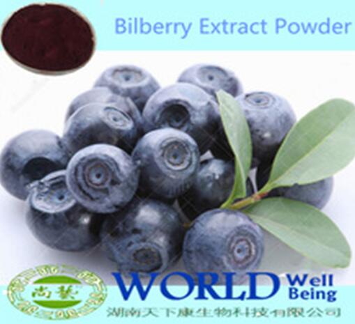 Factory Supply Bilberry Extract Powder10%- 25% Anthocyanidins Bilberry Powder/Bilberry Extract