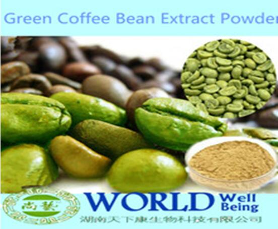 Hot Sell 50% Chlorogenic Acid Green Coffee Bean Powder/Green Coffee Bean Extract/Green Coffee Extract Powder