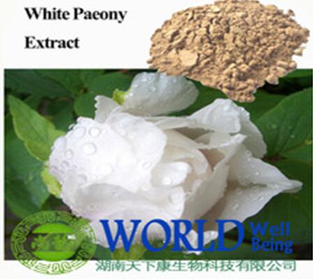 radix paeoniae alba extract paeoniflorin 10%-50% HPLC