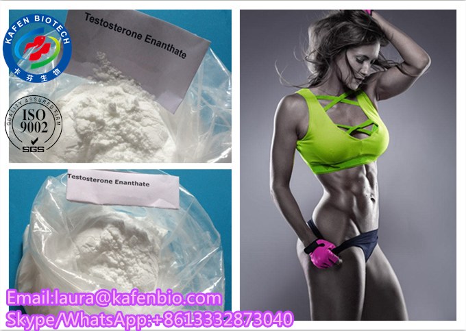 Anabolic Androgenic Steroids Estradiol Benzoate for Female Sex enhancement