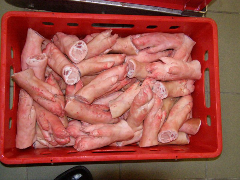 FROZEN PORK FEET/PORK HEAD MEAT/FROZEN PORK BELLY