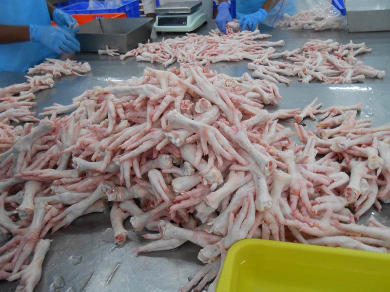Processed Frozen Chicken Feet/Paws /Wings for sale from Brazil