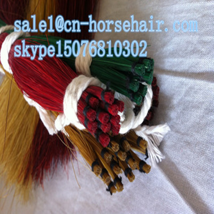 Dyeing horsetail
