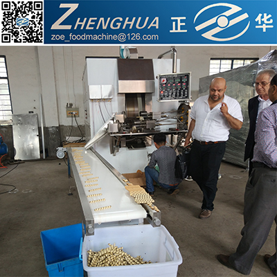 Multi-Function Center Filled Egg roll production machine manufacturer