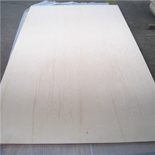 Russia imported logs weather resistant birch plywood with ISO certification