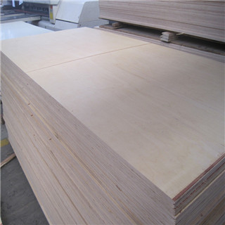 Finnish birch veneer plywood with phenolic glue