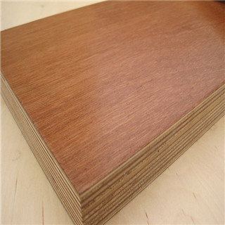 Good wear resistance plywood with UV painting