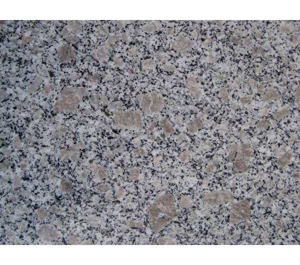 Best price Pearl Flower Granite Stone manufacturer