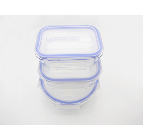 Borosilicate Glass Food Container With BPA free Lid