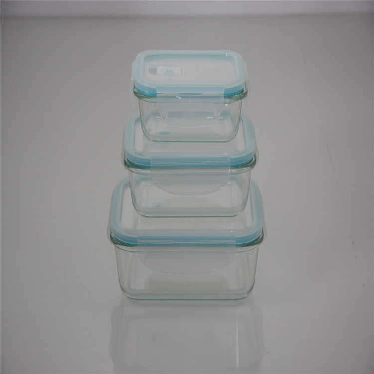 Meal Prep Glass Food Storage Containers with lids