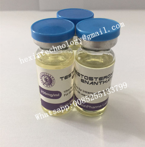 High quality bodybuilding product Testosterone Enanthate