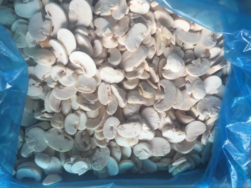Frozen/IQF Champignon , Frozen/IQF white mushroom