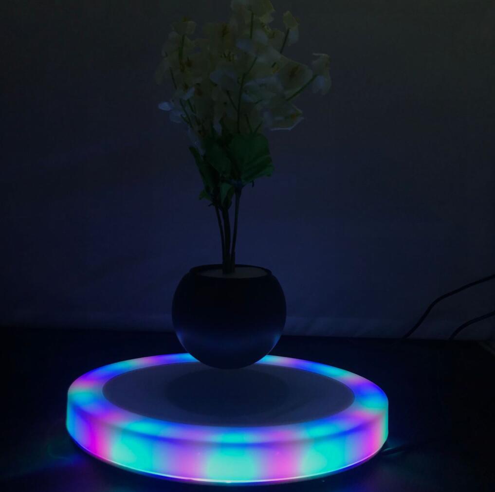 Colorful lights oval base magnetic levitation floating air bonsai plant