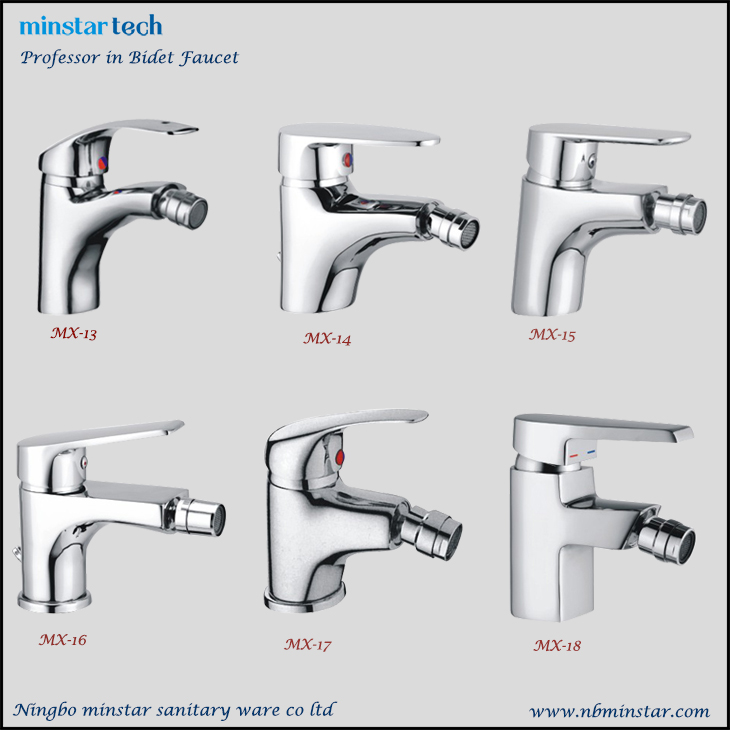 Easy useage brass body stainless steel handle anti-leakage bathroom decor bidet faucet