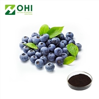 Domestic senior  company of Bilberry extract good word of m