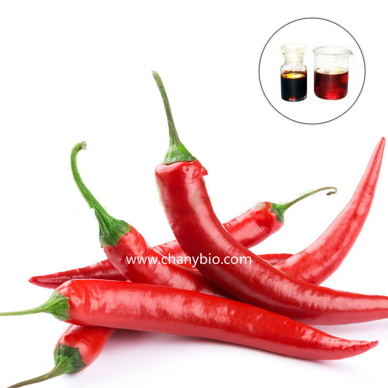  Capsicum Extract  chilli extract Chilli Pepper Extract Capsaicin 