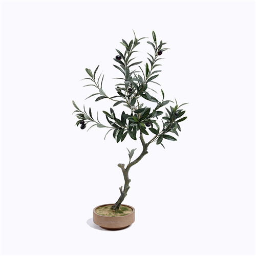 Artificial Olive Bonsai Tree