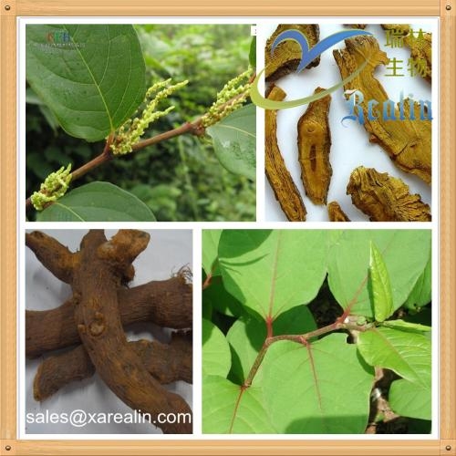 nutraceutical, Natural grape vine extract supplieryou can c
