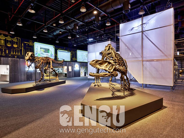 Yangchuanosaurus Skeleton(#GG-1918)