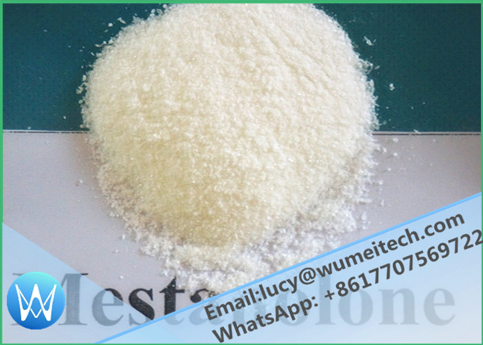 Oral Steroids Bobybuilding DHT Mestanolone Methyldihydrotestosterone Gain Muscle
