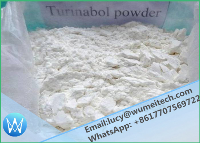 Steroids White Powders Purity 99% Women Oral Turinabol To Weight Gain