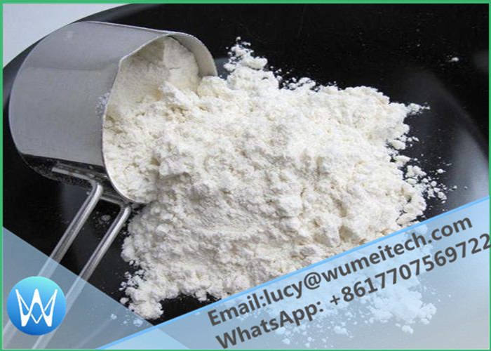 Muscle Gainning Raw Material White Powders Tibolone Acetate Tibolone Livial